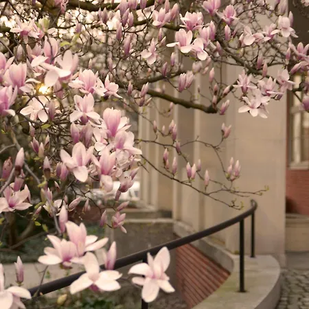 In Historic Heart Of * Wrocław