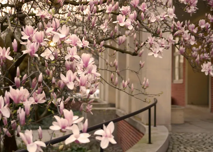 In Historic Heart Of * Wroclaw